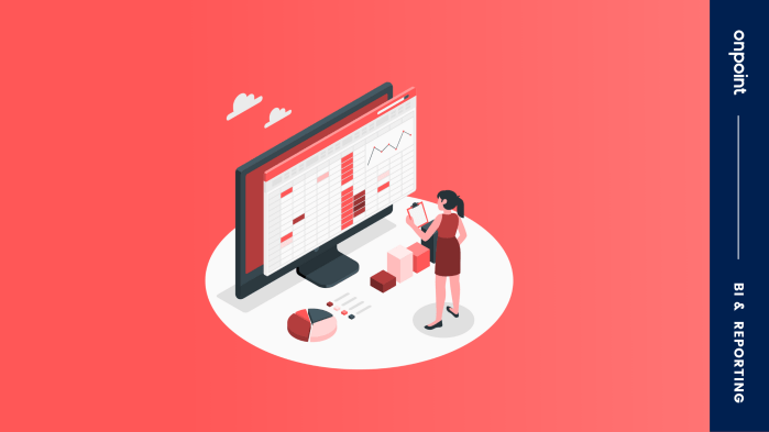 Reporting Solutions for any Accounting Software, ERPs and Microsoft Excel Business reporting software