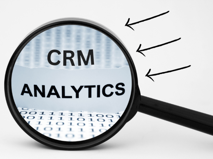 CRM software with analytics