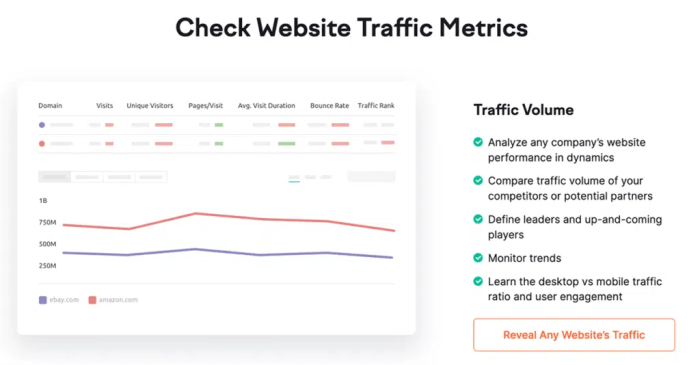 Website traffic analysis tools