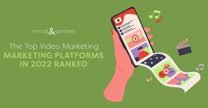 Video marketing platforms