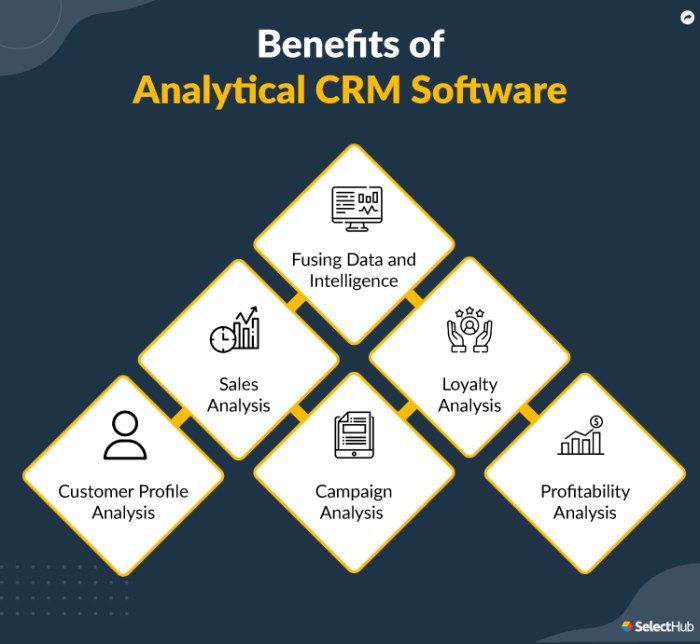 CRM software with analytics