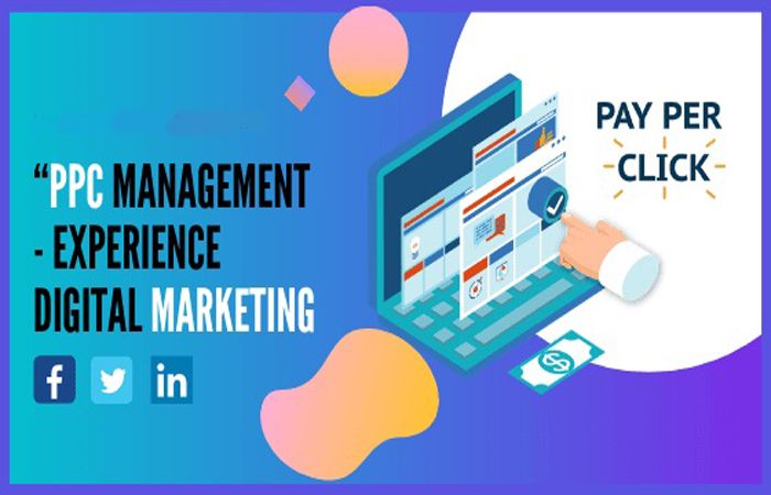 PPC management software