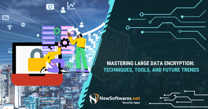 Encryption tools for business data