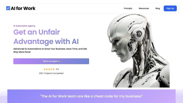 Outwork AI business automation