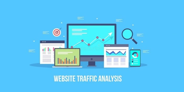 Website traffic analysis tools